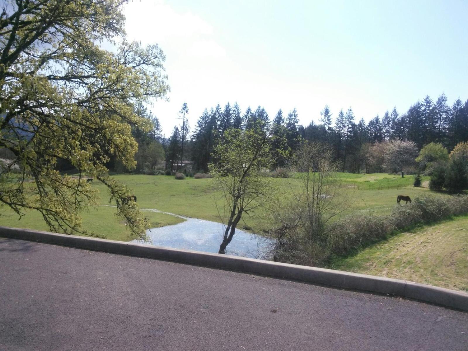 Vancouver Wa Beautiful Apartment Woodland Exteriér fotografie